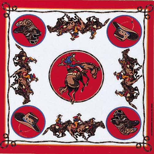 Southwest Bandanna