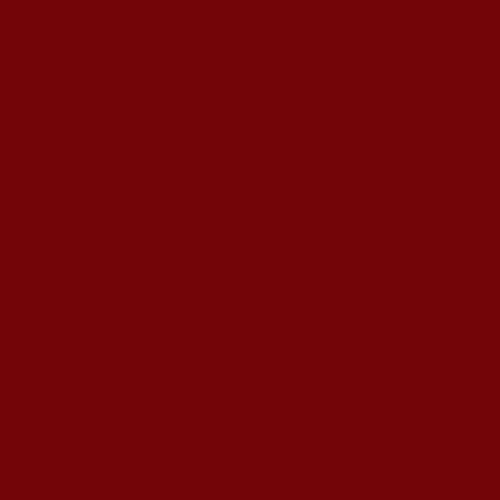 SOLID BANDANNA 22